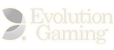 evolutionbc28 Logo